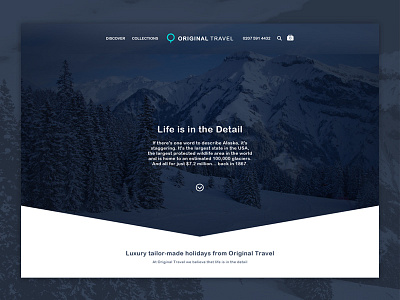 Travel Landing Page WIP