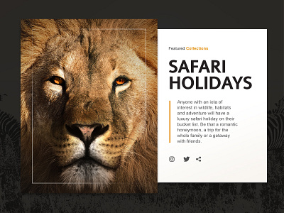 Safari Holidays WIP branding feature holiday identity lion logo safari travel ui ux website wip