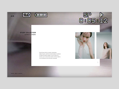Photo Gallery Preview design digital gallery photography typography web