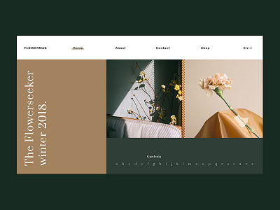 Flowermag Home page design digital gallery homepage photography typography ui web