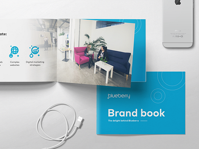 Blueberry Brand Book a5 apple blue book brand brand book branding brochure design icons iphone photography white