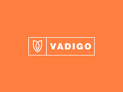 Vadigo - Branding Identity art branding design direction egypt graphic identity logos monogram rebranding uae