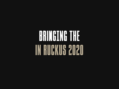 2020 Retrospective: Bringing The Ruckus