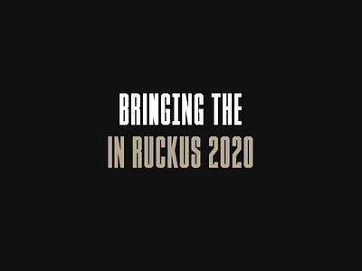 2020 Retrospective: Bringing The Ruckus branding branding agency design graphic design illustration interactive logodesign product design rogue studio typography ui ux web web design web design and development website