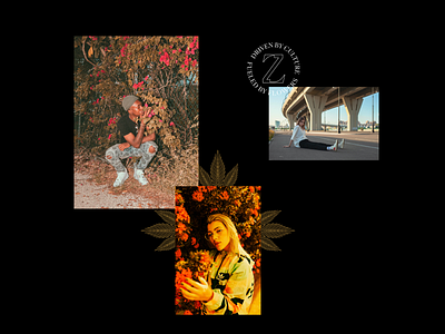 ZaZa Culture animation brand design brand identity brand strategy branding cannabis brand creative direction design graphic design illustration lifestyle brand logo mobile rogue studio typography ui web website zaza