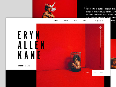 Eryn Allen Kane Homepage