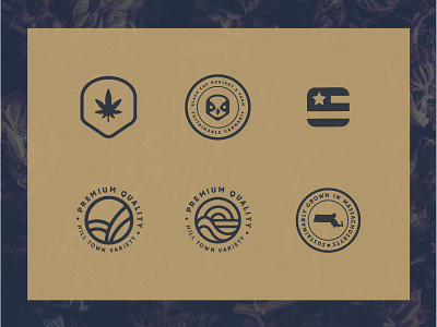 Black Cap Brand Assets branding cannabis identity logo system
