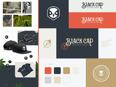 Black Cap: Case Study branding branding and identity branding design cannabis cannabis branding cannabis design cannabis logo cannabis packaging design graphic design illustration logodesign passion project typography ui ux web website