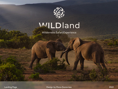 Wildland Landing Page kenya landing page safari safari experience safari tours ui ux web design wildland