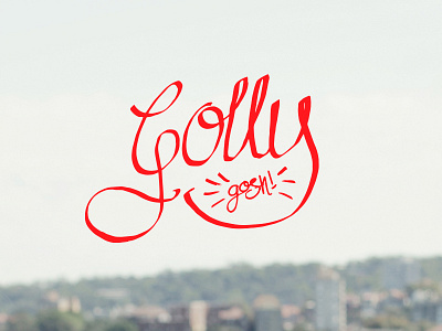 Golly Gosh hand drawn type hand lettered hand lettering typography