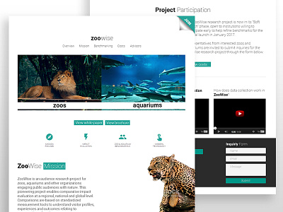 Zoo Organization web design web design mockup