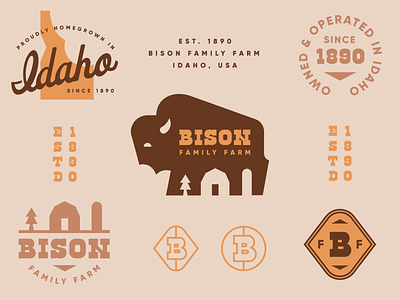 Brandimals 02 - Bison animal badge barn branding buffalo farm geometric idaho illustration logo midwest vintage