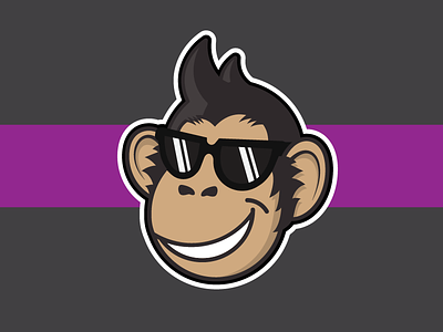 Marco ape cool marco monkey shades