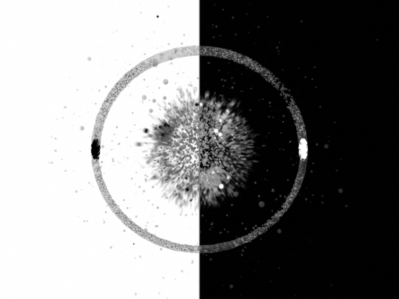 ⌐■_■ 3d 4d black c4d cinema gif loop octane particles torus white x particles