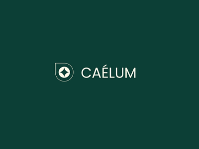 Caelum - Fresh coffee delivered to your doorstep branding design graphic design illustration logo nolox ui ux