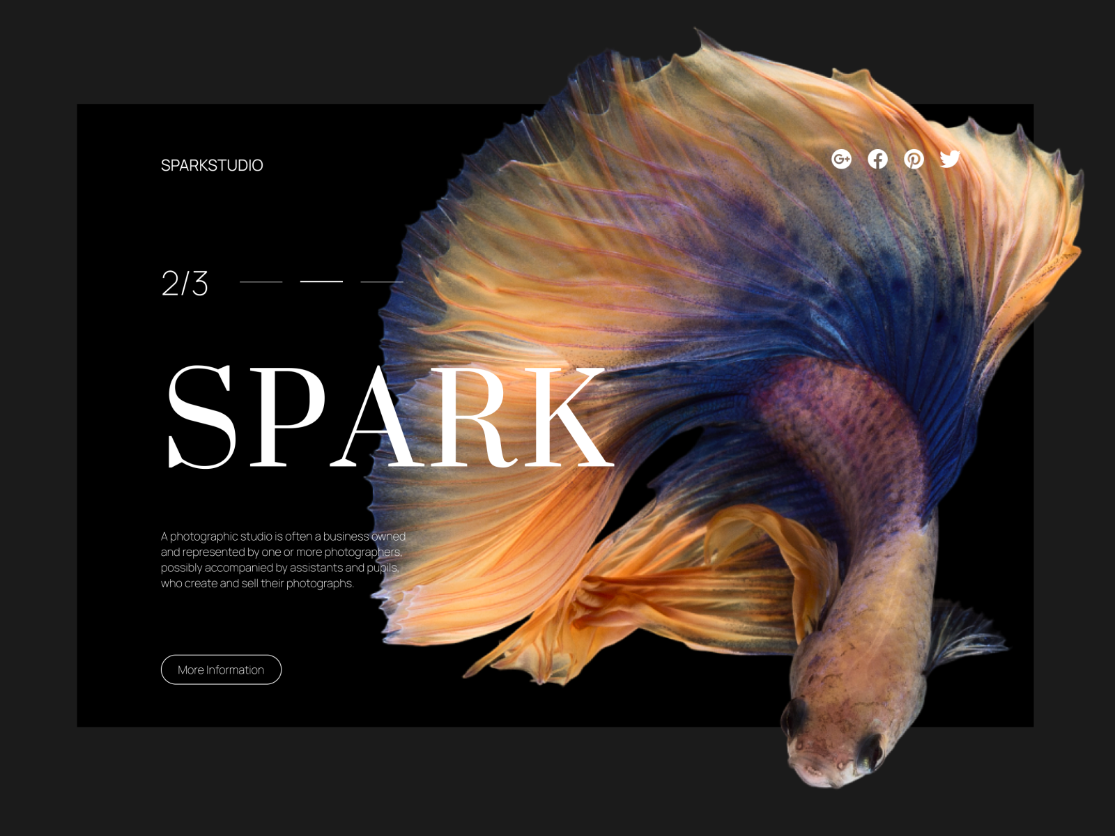 Web Header Design by Ekaterina Karpechenko on Dribbble