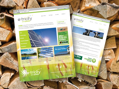 e-tricity screen grabs design layout portfolio screen grab web design webdesign website wood