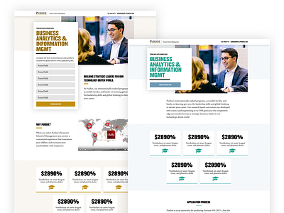 University Microsite Redesign branding conversion landing leads microsite statistics students university