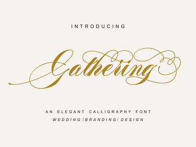 Gathering Script Font branding design font graphic design handwritten modern script typeface