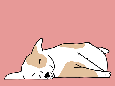 Sleeping dog branding design digital illustration illustration procreate vector