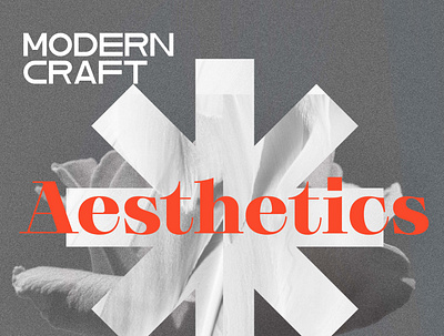 AESTHETICS STYLE aesthetic design geometry illustration logo logotype minimal shape typography vector viber