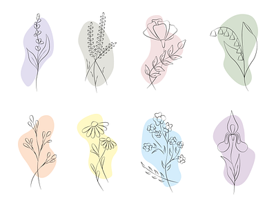 Set of beautiful flowers adobe illustrator decor design graphic design illustration vector graphics