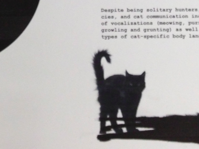 Despite being solitary hunters... black cat dark grid poster print typography wikipedia words