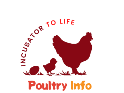 Poultry Info graphic design logo