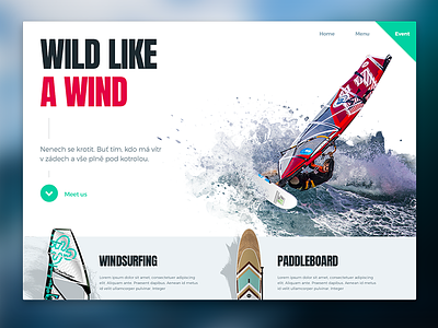 Wild concept design web