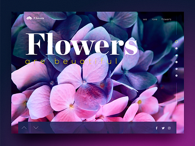 Flower Dribbble concept detail flower shop ui ux web webdesign website