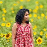 Hima Joy