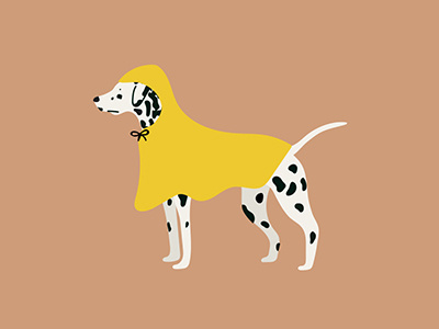 Rainy day dog dalmation dograincoat rain raincoat rainy spots yellowcoat