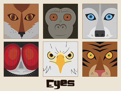 Eyes Children's Book Illustrations animals childrens book eagle eyes fly fox gorilla illustration tiger wolf