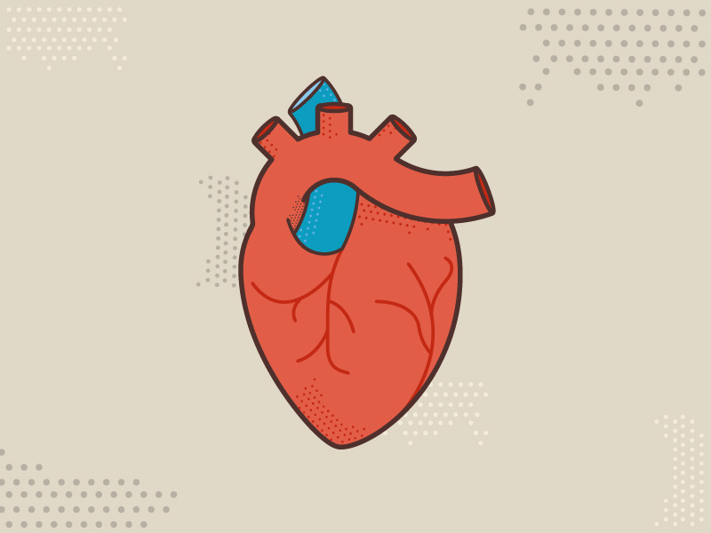 Halftone heart real heart anatomy color halftone vein illustration heart