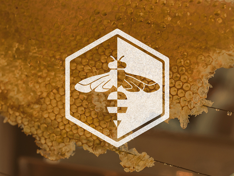 Bee Logo stripes insect honeybee hexagon honey bee logo