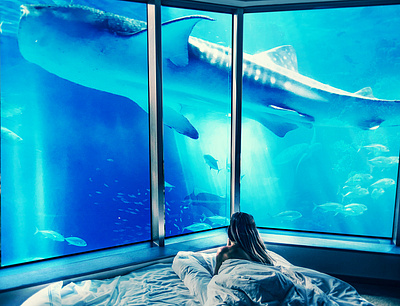 Underwater Views composition design graphic design manipulation