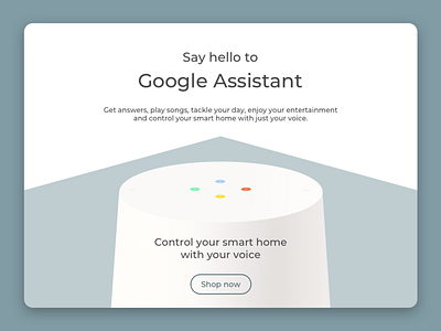 Single product - Google assistant