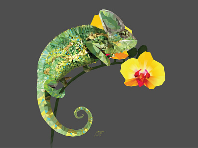 Chameleon on an Orchid chameleon design graphic illustration inspiration orchid polygons triangles