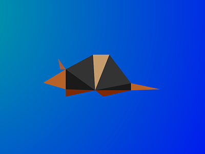 Armadillo / 10 triangles challenge