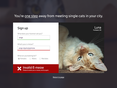 Sign-up form - Dating Site for Cats