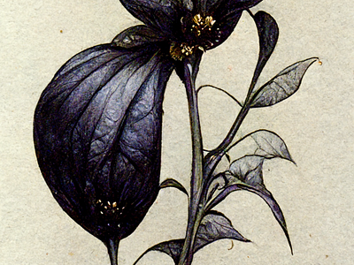 Botany: Nightshade