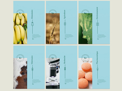 Labplas - field of expertise - Unused concept analytics branding iconography icons identité visuelle illustration natural sampling soft