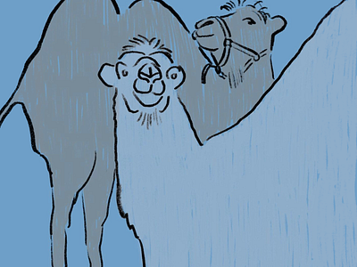 Camels 2d animal animals blue cartoon character children childrens book color cute digital illustration education fun funny illustration illustrator line art lines minimal zoo