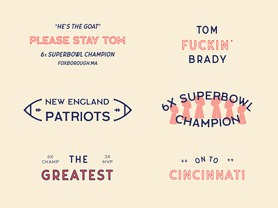 New England Patriots Flash