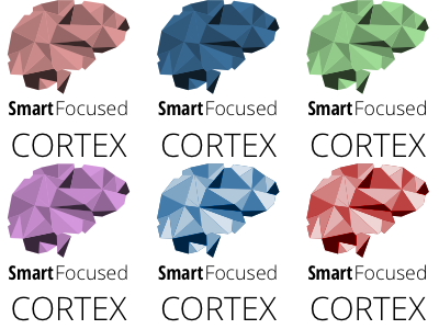 SmartFocused Branding brain branding one shot