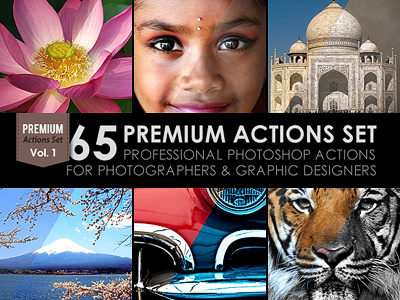 65 Premium Actions Set
