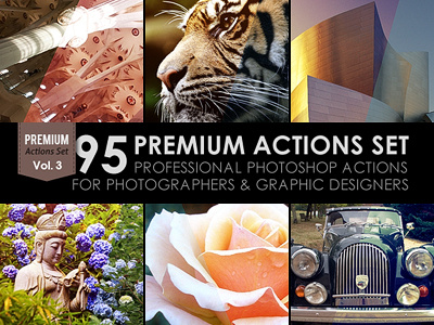 95 Premium Actions Set
