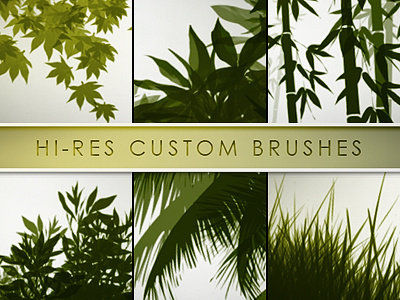 30 Hi-Res Custom Brushes - Nature abr add on brush brushes color custom grass hi res natural nature organic paint photoshop brushes set tablet