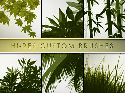 30 Hi-Res Custom Brushes - Nature