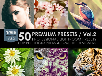 50 Premium Lightroom Presets / Vol.2